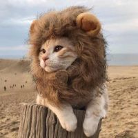 猫咪搞笑狮子头变身装猫咪衣服猫头套帽子猫衣服猫饰品宠物用品 中号-脖围32内
