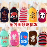 小猫咪衣服帅气春装薄款可爱春夏蓝猫英短防掉毛狗狗宠物夏装春天 2件圆领随机 XS(建议2-3斤)