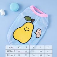 小狗狗衣服夏季薄款泰迪比熊小型犬春秋装背带裤衬衫宠物猫咪衣服 水果背心(香梨) XS-建议1-2斤内