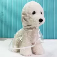 狗狗雨衣春夏装泰迪小型犬宠物贵宾小狗雨衣透明雨衣宠物衣服防水 透明雨衣-白色边 XS