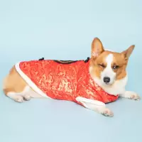 柯基唐装狗狗秋冬潮牌狗衣服柴犬中型犬专用幼犬冬装冬季棉袄衣服 [恭喜发财]福字-红色唐装 XS码:约1-3斤狗狗