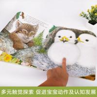 小兔比利早教触摸书4册 婴儿书撕不烂感官刺激触感玩具书幼儿绘本[8月15日发完]