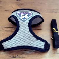 溜猫绳猫绳子猫牵引猫链子防挣脱逃脱专用背心式猫咪牵引绳遛猫绳 灰色 S号