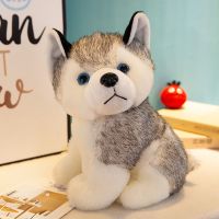 可爱仿真哈士奇公仔毛绒玩具小狗狗二哈玩偶小号娃娃女孩生日礼物 灰色哈士奇 20厘米