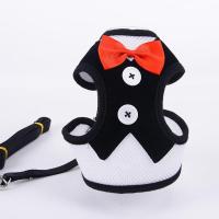 猫咪牵引绳幼猫小奶猫1-3斤猫链子溜狗绳子小型犬泰迪牵引绳1-3月 黑色礼服 S(建议3-6斤)