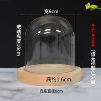 永生花玻璃罩香薰蜡烛摆件手办透明盲盒防尘罩子干花玻璃罩展示盒 乳白色 6*10加原木底可选