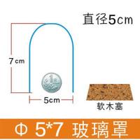 永生花软木塞玻璃罩羊毛毡diy收纳防尘手工艺品干花娃娃盲盒黏土 柱形5x7cm+软木塞底座