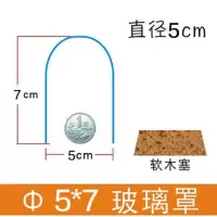 永生花软木塞玻璃罩羊毛毡diy收纳防尘手工艺品干花娃娃盲盒黏土 柱形5x7cm+软木塞底座
