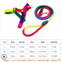 绳栓幼犬狗狗牵引绳吉娃娃时尚狗链子外出彩色家用卡通狗绳子 七彩牵引绳-绳长1.2米 S-小型建议1-6斤