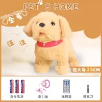 儿童宜家毛绒电动玩具狗仿真可爱会走路唱歌说话的遥控狗男孩女孩 金毛犬