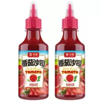 5斤大桶番茄酱家用薯条汉堡三明治水果沙拉商用番茄沙司280g [280克] 番茄沙司*2瓶