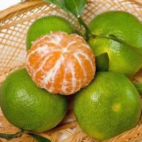 [无籽蜜橘]新鲜高原蜜桔子孕妇薄皮橘子应季水果3/5/10斤整箱 实惠装 小果[带箱3.1斤]尝鲜