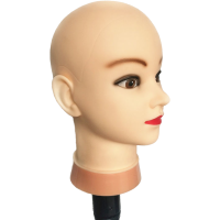 模具头假发头模编发盘发彩色头模型假人头模特头教习头学徒公仔头[8月14日发完] 光头模特 模特头1个