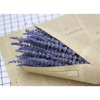 薰衣草干花花束真花客厅装饰插花摆件助眠天然干花卧室餐桌摆设 100克 英国蓝