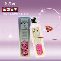 葛菲娜皙白保湿嫩肤保湿水140ml爽肤水滋润嫩肤水营养水大瓶 140ml