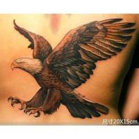 新款雄鹰展翅老鹰飞鹰 防水持久仿真刺青男女花臂纹身贴 图片色