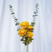 玫瑰干花混搭花束 勿忘我diy客厅房间真花摆件 ins北欧风家居装饰 4枝黄雏菊花束(无瓶)