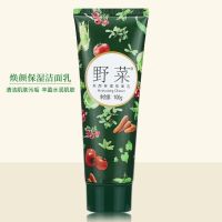 [野菜]野菜洗面奶烟酰胺玻尿酸氨基酸配方洗面奶男女通同 100g装