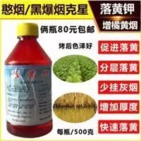憨烟/黑爆烟克星,落黄钾,一亩2瓶,一瓶兑2喷雾器水,烟叶真熟 憨烟/黑爆烟克星,落黄钾,一亩2瓶,一瓶兑2喷雾器水,烟