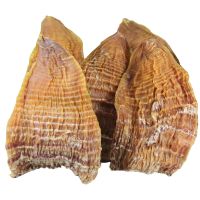 21年新冬笋尖井冈山笋干干货嫩竹笋无硫无盐笋衣笋子江西特产批发 笋尖250g(3-5寸性价比高)