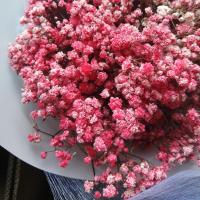 鲜花满天星花束生日礼物送人七夕情人节教师节闺蜜圣诞礼物母亲节 粉红色 小花束 不带灯