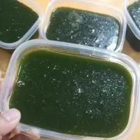 新鲜现摘凉粉草仙草苗广东高州绿凉粉包教学 新鲜现摘仙草1斤