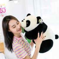 趴款熊猫毛绒玩具公仔少女心玩偶大号儿童小熊布娃娃生日礼物女 25厘米
