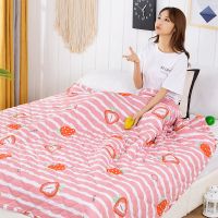 夏季空调被夏凉被单双人夏天薄被子儿童学生宿舍春秋被可机洗被芯 草莓- 70cm*100cm[午休被]