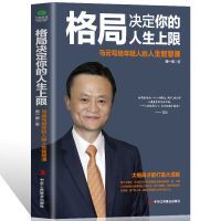 段永平传精装新版中国著名企业家传记丛书价值投资者人物传记书 格局决定你的人生上限
