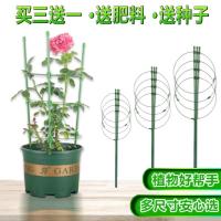 花支架支撑杆支柱铁线莲植物爬藤架攀爬架花架子园艺月季绿萝支架 伸缩款高45CM(买三送一)