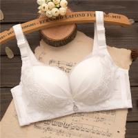 都市同款性感内衣少女无钢圈白色丽人文胸聚拢薄款韩版学生小胸罩 白色108薄款 75A /34