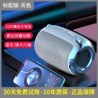 AI智能蓝牙音响低音炮大音量户外家用插卡FM收音机手机无线小音箱 灰色 标配版