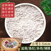 天然五花石雨花石鱼缸装饰彩石头子多肉铺面水培植物铺底五彩石 雪花白3-5mm