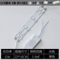 led灯条吸顶灯灯芯改造led灯泡改装灯带灯管贴片长条灯板透镜光源 白光 22厘米2条共12瓦