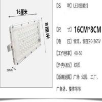 LED投光灯200防水灯射灯路灯广场灯门灯庭院灯户外灯透镜投光灯 30瓦[超亮款]