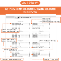 周计划 初中英语阅读理解+完形填空高效训练七年级 初中7年级上下册阅读理解专项训练同步练习题初一英语辅导资料书必刷题组合