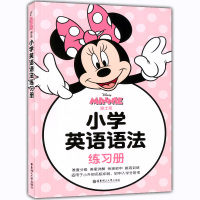 新版 迪士尼 小学英语语法+练习册 专项练习题 基础知识大全 小升初 中小衔接 语法书 小学生英语语法自学教材零基础入门