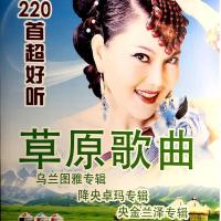 草原歌曲TF卡内存卡大草原天籁之音插卡收音机草原经典歌曲音频卡 4GB 草原歌曲220首送歌本