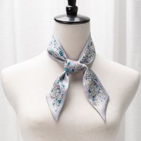 2020新款桑蚕丝小丝巾绑包包手柄丝巾丝带真丝发带细长丝巾H 灰色街景