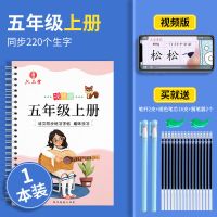 小学生儿童凹槽练字帖语文课本同步一二三四五六年级正楷练字本贴 五年级上册1本(送16芯2笔2握)