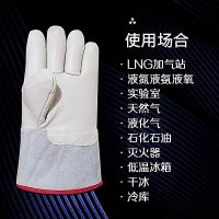 耐低温防冻手套冷库干冰LNG石化加汽站液氮劳保防寒保暖防护手套 26CM左手一只