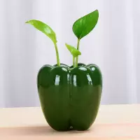 绿萝水培花瓶葫芦青椒迷你花盆水养植物创意花器桌面摆件陶瓷花盆 青椒花瓶(不含植物)