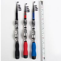 迷你小海竿路亚便携带超短节钓鱼竿抛竿远投矶竿冰钓渔具套装1米 红色 竿包一个(50厘米)