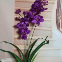客厅装饰品摆件盆栽家居摆设房间蝴蝶兰花陶瓷花瓶塑料花假花卉 紫红一枝