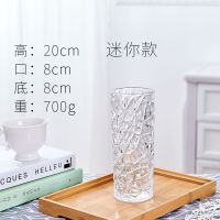 加厚花瓶玻璃透明水养富贵竹玫瑰百合干花插花摆件大号客厅花器 20直筒冰纹[加厚加重]