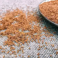 冰粉籽手工手搓冰粉木瓜籽凉粉籽冰粉儿成都特色小吃冷饮5斤 5斤送石灰工具