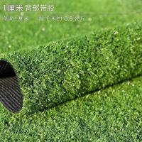 草坪地毯人造人工仿真草皮垫子假草塑料假绿植物墙幼儿园围挡工程 草高1厘米加密背胶经济款