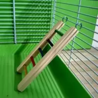[工厂店直销]仓鼠爬梯楼梯梯子玩具 小宠用实木DIY梯子用品 五彩攀岩梯7×10