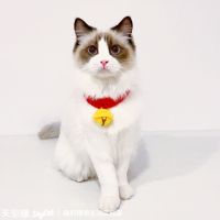 手工叮当喵项圈猫咪围脖猫牌布偶项链小猫可爱宠物饰品 叮当喵项圈 XS-超小型