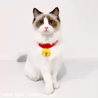 手工叮当喵项圈猫咪围脖猫牌布偶项链小猫可爱宠物饰品 叮当喵项圈 XS-超小型